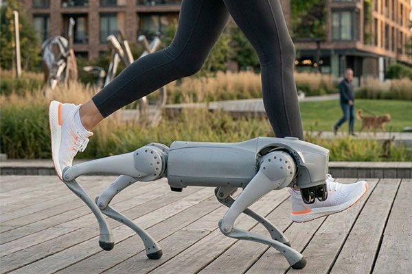 Roboterhund-Unitree-Go-2-Pro-Joggen