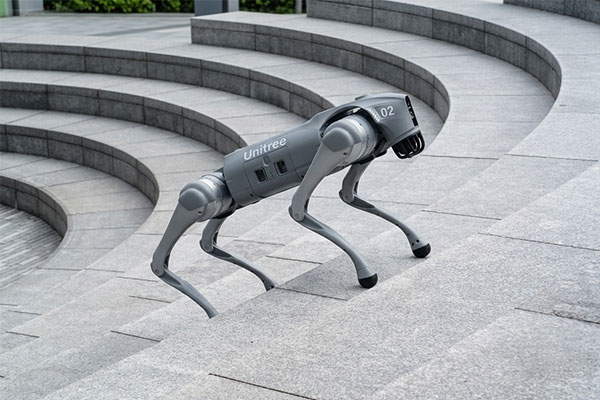 Roboterhund-Unitree-Go-2-Pro-Treppensteigen